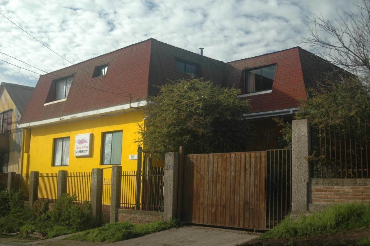 Hostal Casona Del Cerro Constitución Dış mekan fotoğraf